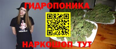 молекула духа Сланцы
