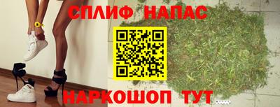 молекула духа Сланцы